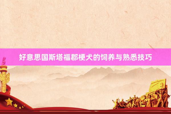 好意思国斯塔福郡梗犬的饲养与熟悉技巧